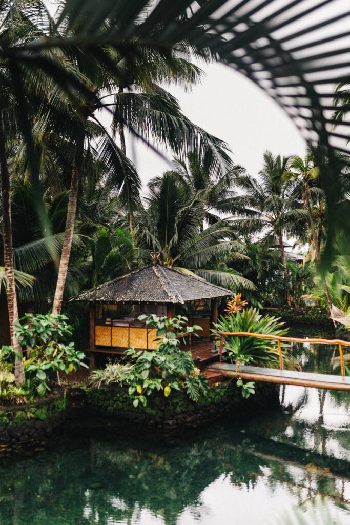 Welcome to the Future of WordPress with Gutenberg